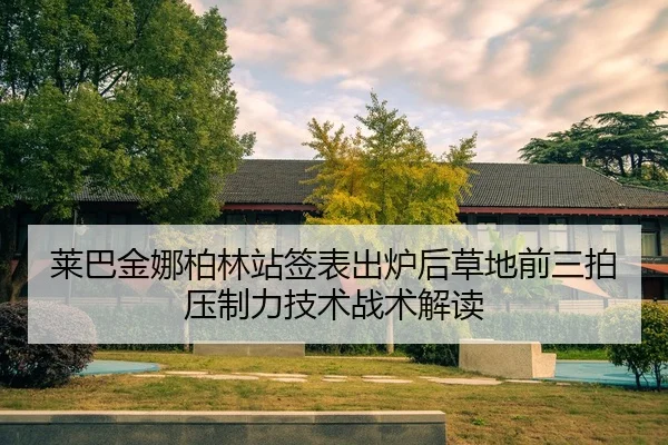 lai-ba-jin-na-bo-lin-zhan-qian-biao-chu-lu-hou-cao-di-qian-san-pai-ya-zhi-li-ji-shu-zhan-shu-jie-du-2-695.jpg